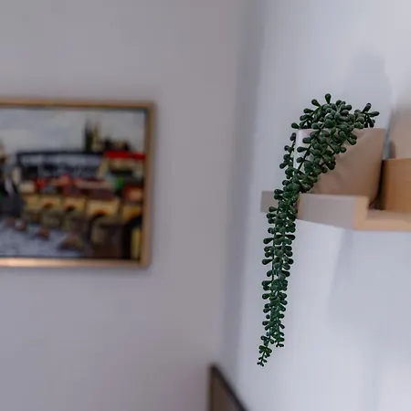 شقة Jasminn براغ